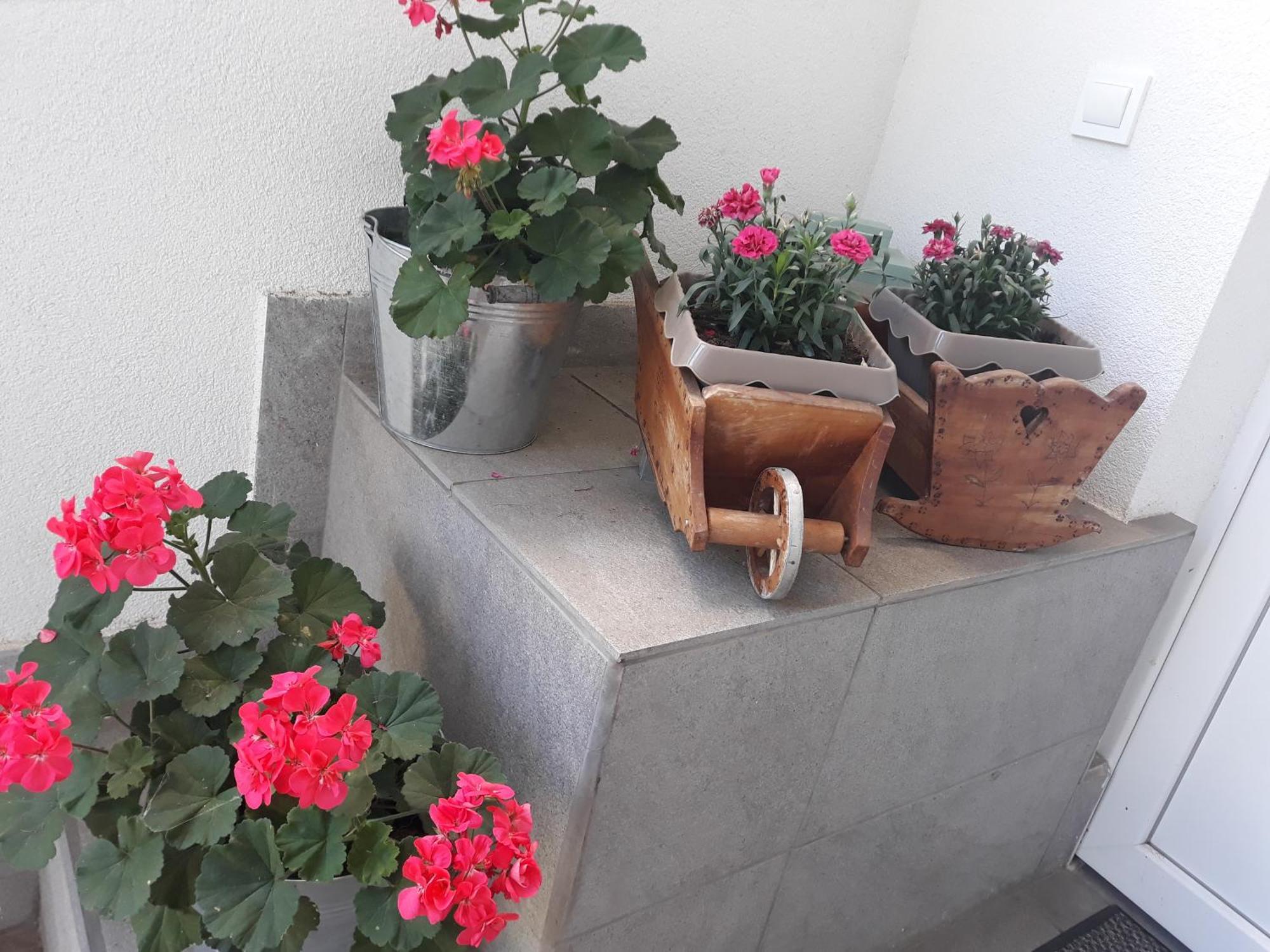 Apartment Zorec Maribor Bagian luar foto